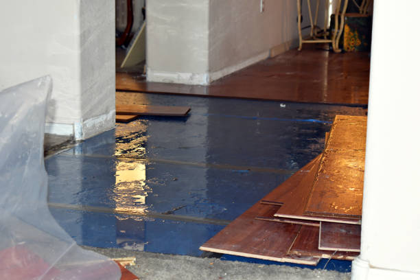 Professional Flood Cleanup technician working in Monticello, IL